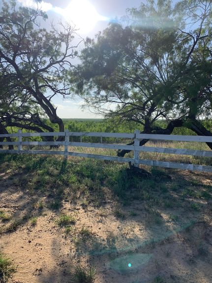 Horse Property in Zavala County, Texas