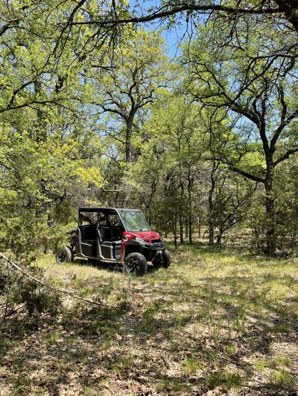 Timberland Property in Palo Pinto County, Texas
