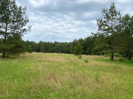 Undeveloped Land in Cass County, Texas