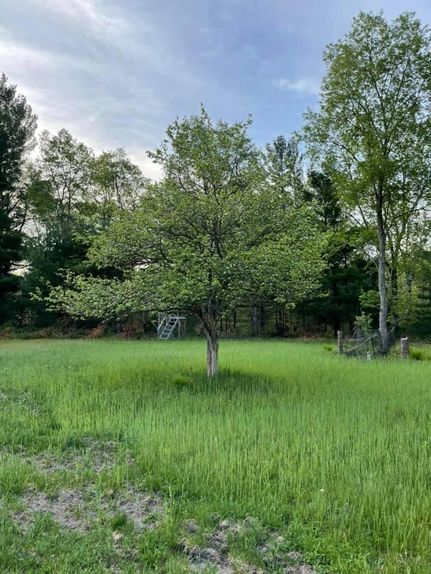 Undeveloped Land in Osceola County, Michigan