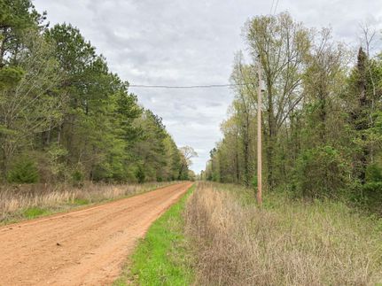 Timberland Property in Bowie County, Texas
