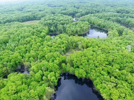 Timberland Property in Barron County, Wisconsin