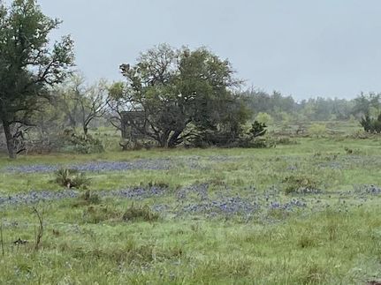 Hunting Property in Sutton County, Texas