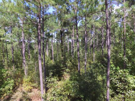 Recreational Property in Clay County, Georgia
