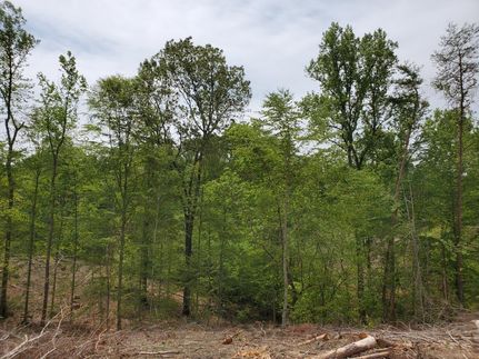 Land in Fluvanna County, Virginia