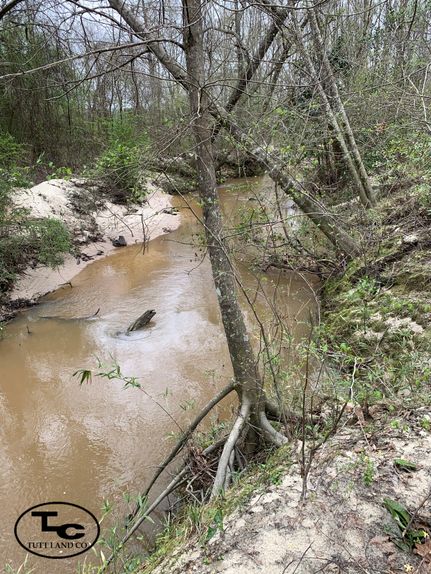 Undeveloped Land in Clarke County, Alabama