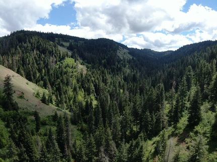 Timberland Property in Walla Walla County, Washington