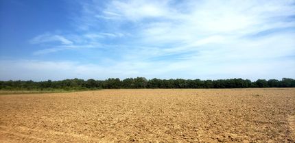 Timberland Property in Marengo County, Alabama