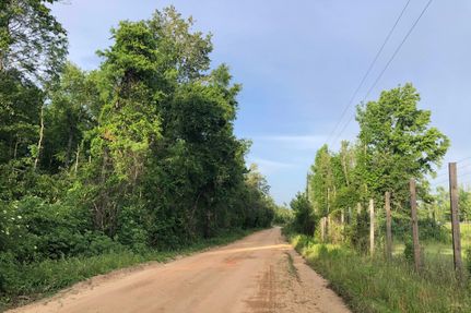 Undeveloped Land in Jackson County, Florida