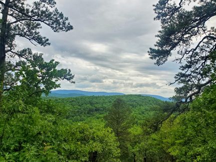 Undeveloped Land in Pushmataha County, Oklahoma