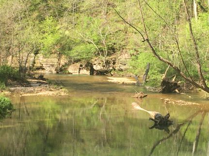 Land in Hardin County, Tennessee