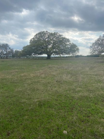 Farm and Ranch in Travis County, Texas