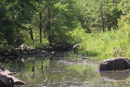 Timberland Property in Latimer County, Oklahoma