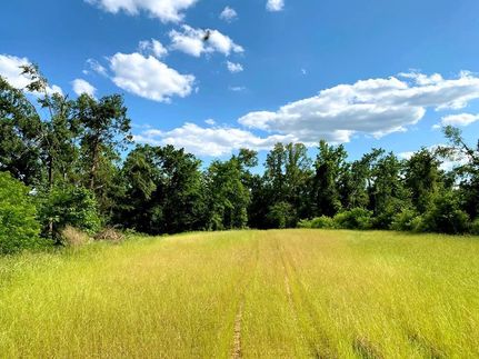 Timberland Property in Claiborne County, Mississippi