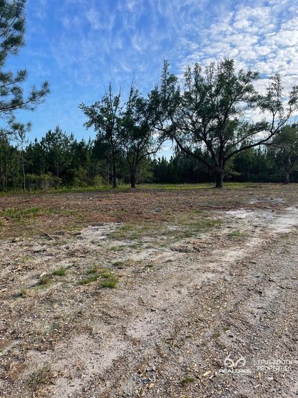 Timberland Property in Jasper County, South Carolina