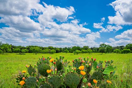 Farm and Ranch in Gillespie County, Texas