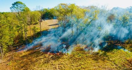 Timberland Property in Walton County, Florida