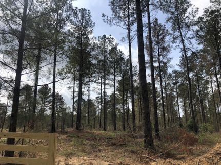 Recreational Property in Taylor County, Georgia