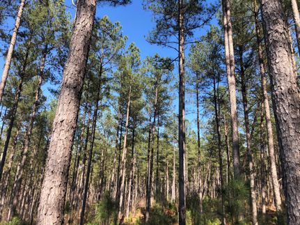 Recreational Property in Upson County, Georgia