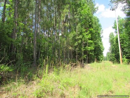 Farm and Ranch in Madison County, Mississippi