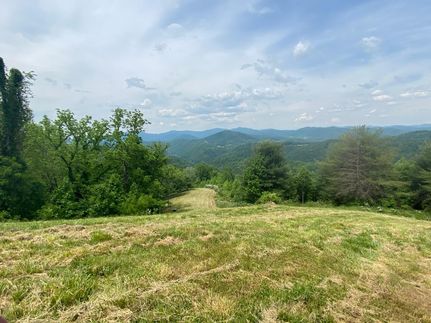Undeveloped Land in Madison County, North Carolina