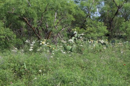 Farm and Ranch in Clay County, Texas