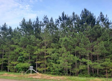 Recreational Property in Walker County, Alabama