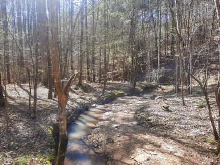Undeveloped Land in Fayette County, Alabama