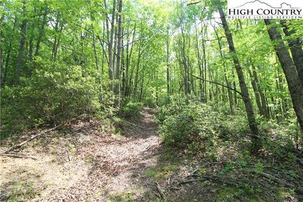 Land in Ashe County, North Carolina