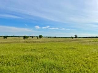 Farm and Ranch in Jack County, Texas