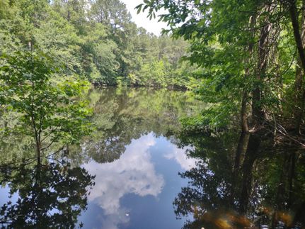 Recreational Property in Pike County, Alabama
