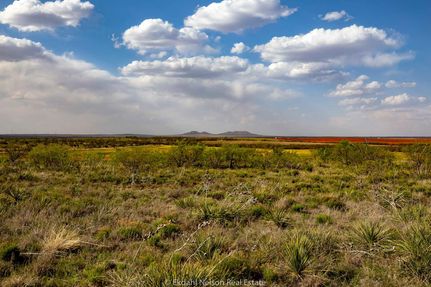 Land in Fisher County, Texas
