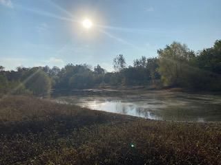 Farm and Ranch in Fayette County, Illinois
