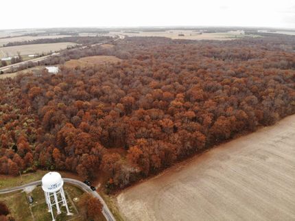Timberland Property in Marion County, Illinois