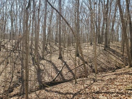 Recreational Property in Marion County, Illinois