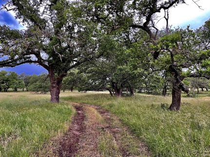 Hunting Property in Burnet County, Texas