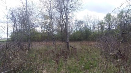Undeveloped Land in Saint Clair County, Michigan
