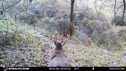 Farm and Ranch in Richland County, Wisconsin