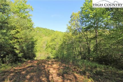 Farm and Ranch in Ashe County, North Carolina