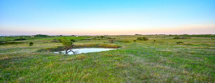 Horse Property in Young County, Texas