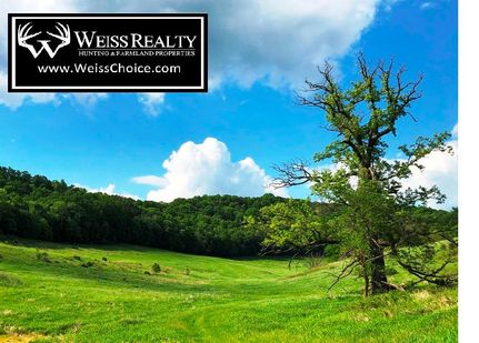 Undeveloped Land in Richland County, Wisconsin