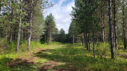 Farm and Ranch in Oneida County, Wisconsin