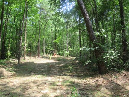 Timberland Property in Tallapoosa County, Alabama