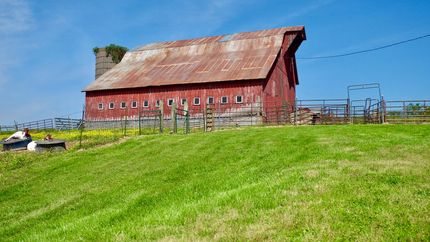 Farm and Ranch in Wright County, Missouri