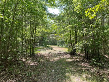 Undeveloped Land in Suffolk City County, Virginia