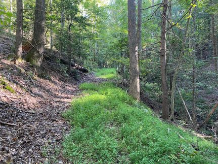 Undeveloped Land in Caldwell County, North Carolina