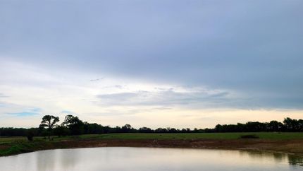 Land in Rains County, Texas