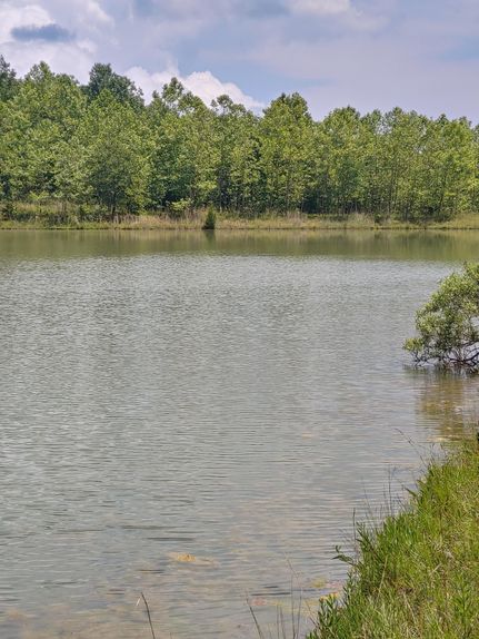 Recreational Property in Howell County, Missouri