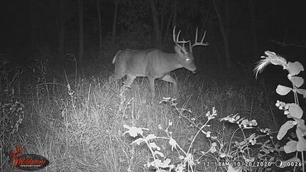 Recreational Property in Audrain County, Missouri