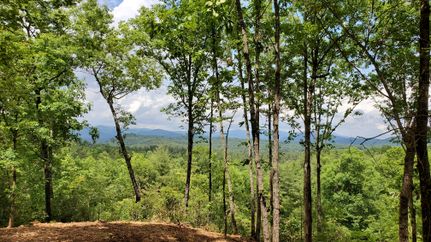 Recreational Property in Oconee County, South Carolina